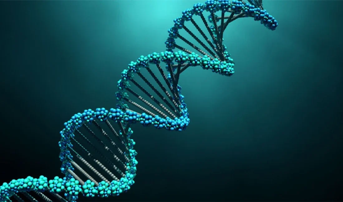 Uluslararası bir araştırma ekibi, insan genomunun yaklaşık yarısını oluşturan zıplayan