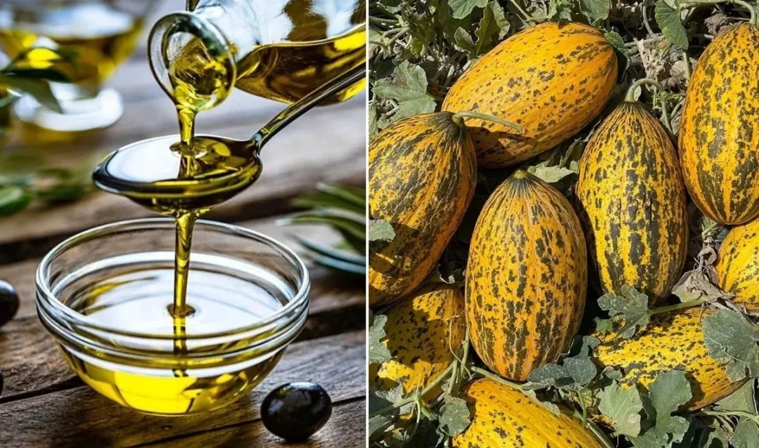 Sanayi ve Teknoloji Bakanı Mehmet Fatih Kacır, Mut zeytinyağı ile