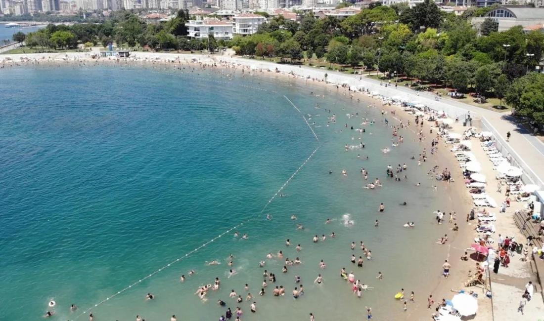 İstanbul Beykoz ile Tekirdağ ve Kocaeli’nin bazı sahil ve plajlarında,