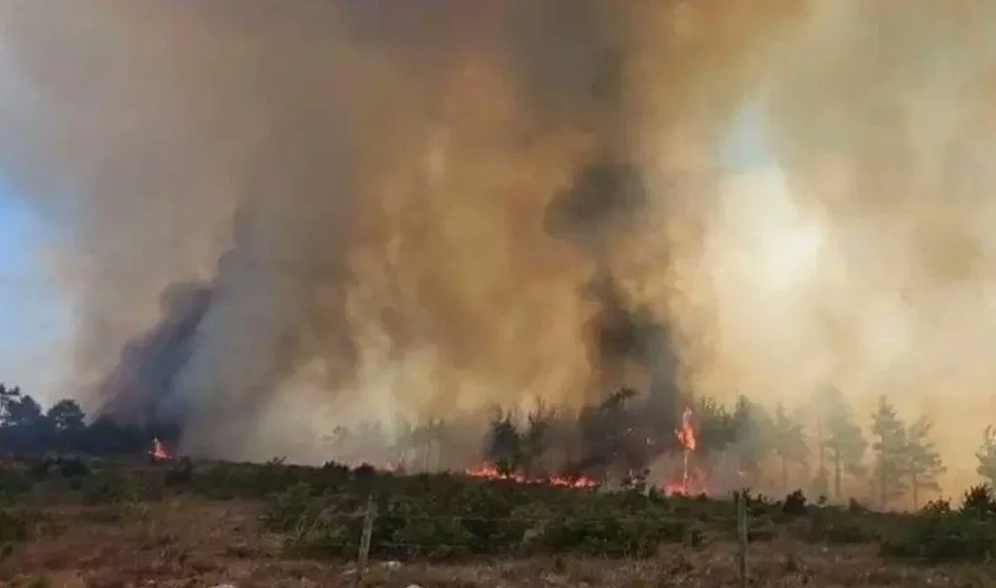 Tarım ve Orman Bakanı İbrahim Yumaklı, Mersin, Diyarbakır, Adıyaman, Afyonkarahisar,