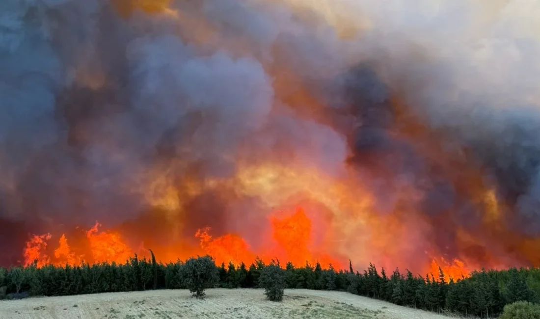 Adana’nın İmamoğlu ilçesine bağlı Üçtepe Mahallesi’nde dün saat 15.57’de başlayan