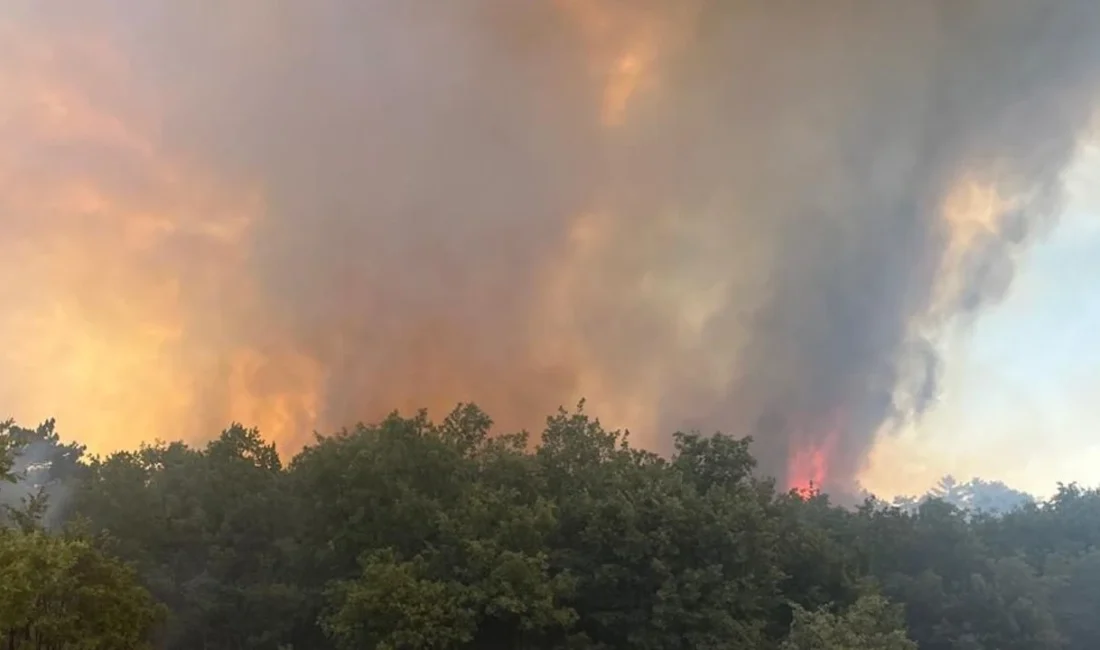 Balıkesir’in Kepsut ilçesinde ormanlık alanda yangın çıktı. Bölgeye sevk edilen