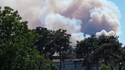 Orman Genel Müdürlüğü (OGM), Adana'nın Aladağ ilçesindeki yanının kontrol altına