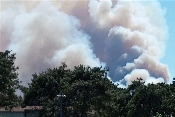 Çanakkale Valisi Ömer Toraman, yangın nedeniyle Gelibolu’ya bağlı Ilgardere köyünün