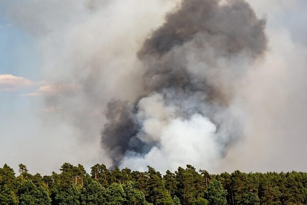 Gelibolu’da orman dışı alanda başlayıp ormana sıçrayan yangına, havadan ve