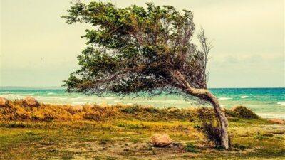 Meteoroloji Genel Müdürlüğü (MGM), Marmara ile Kuzey Ege kıyılarında kuzey