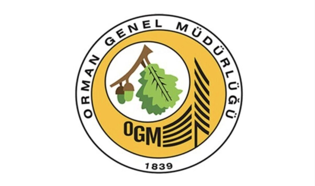 Orman Genel Müdürlüğü (OGM), Sinop Durağan’da çıkan yangının kontrol altına