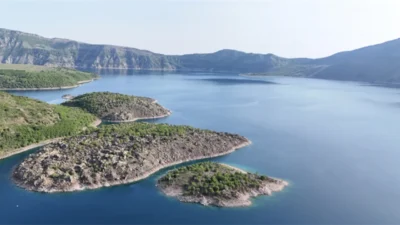 Tarım ve Orman Bakanı İbrahim Yumaklı, "Artık koruma kullanma dengesini
