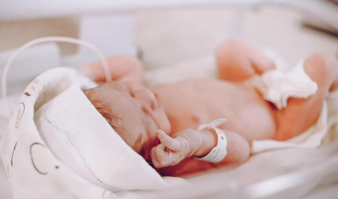 Türkiye İstatistik Kurumu (TÜİK) Başkan Yardımcısı Furkan Metin, Türkiye’de doğurganlık