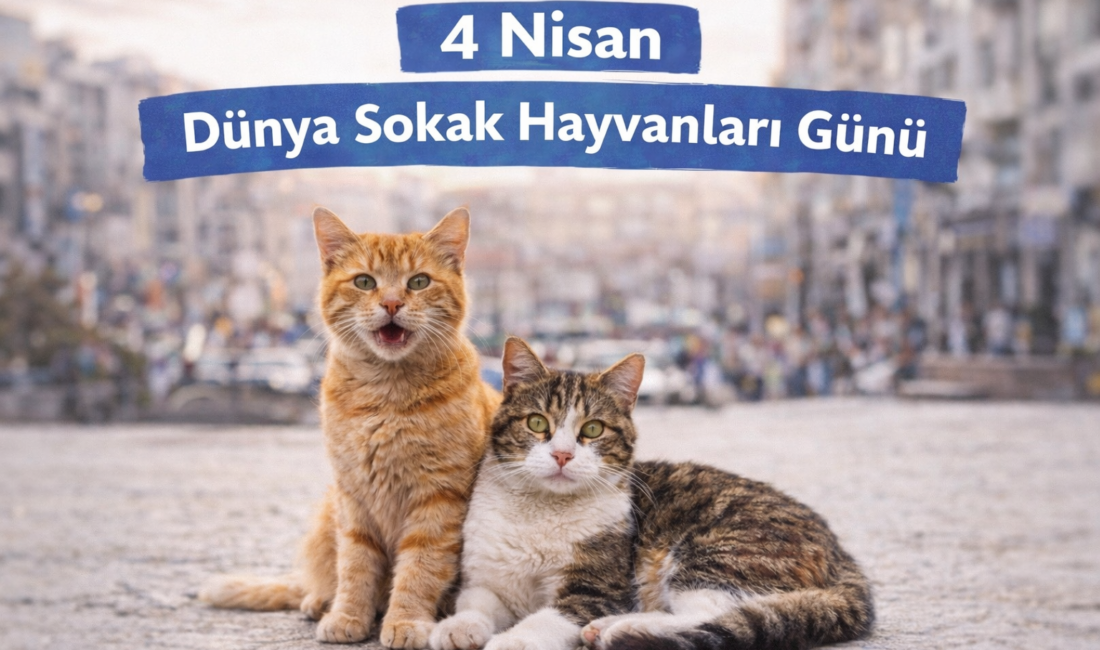 4 Nisan Dünya Sokak Hayvanları Günü Mesajları: En Anlamlı ve Duyarlı Sözler 4 Nisan Dünya Sokak Hayvanları Günü, sokakta yaşamlarını sürdüren hayvanlara
