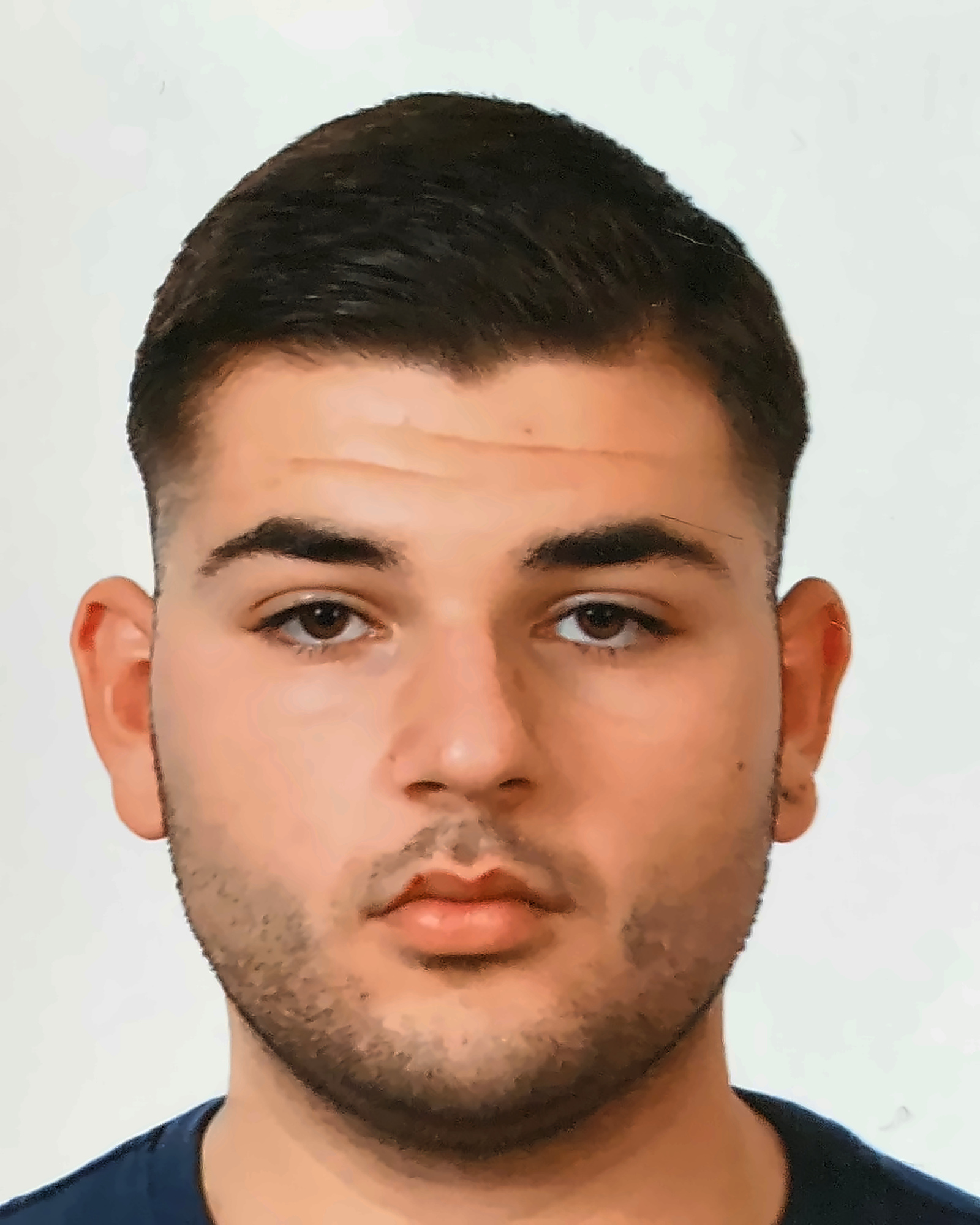 Erol Atakan Boyalı