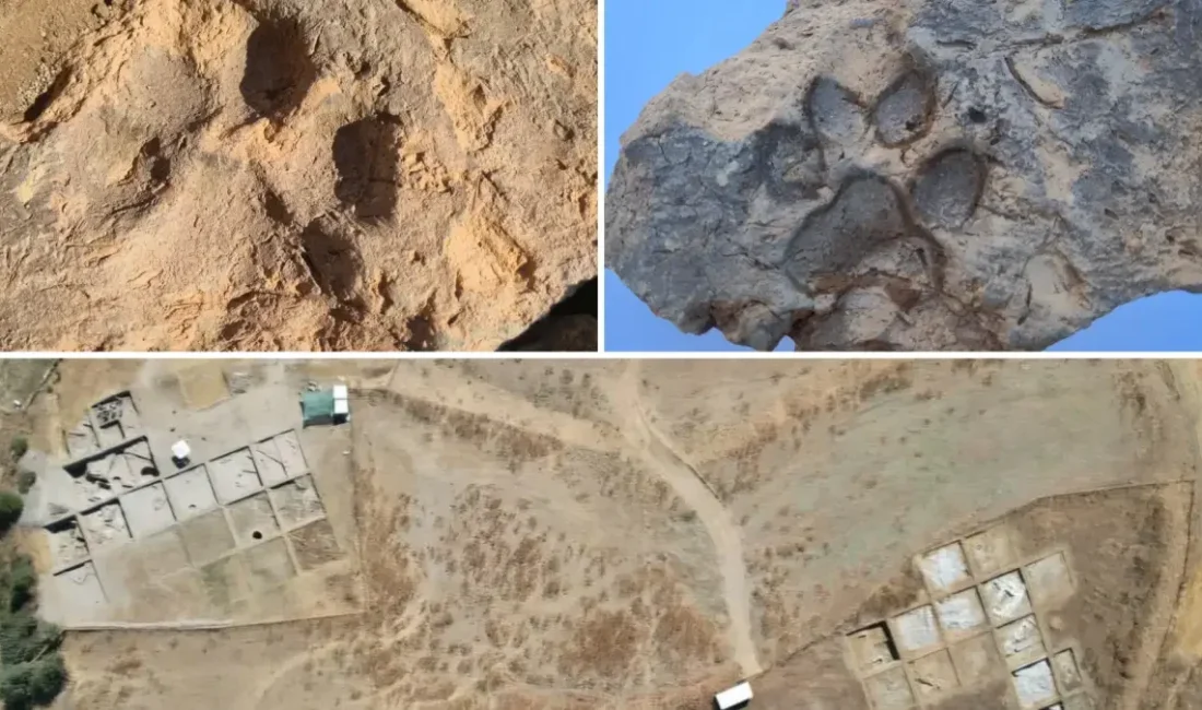 Kütahya'daki Tavşanlı Höyük kazılarında, Tunç Çağı'ndan kalma yaklaşık 4 bin