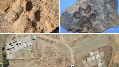 Kütahya'daki Tavşanlı Höyük kazılarında, Tunç Çağı'ndan kalma yaklaşık 4 bin
